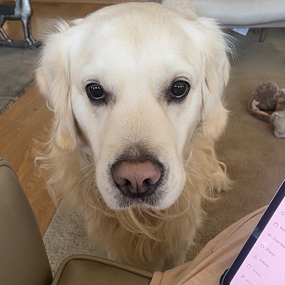 WELCOME TO MY POSHCLOSET 😘 I’m SO happy you popped by 😁 Here’s info on me 😉 - Picture 6 of 15